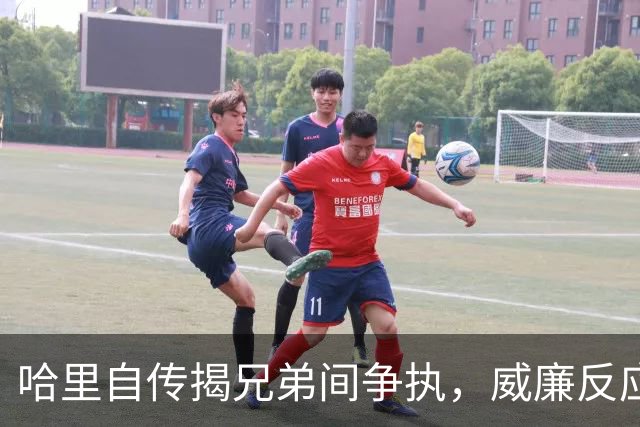 哈里自传揭兄弟间争执，威廉反应引发讨论