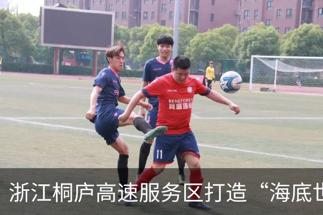 浙江桐庐高速服务区打造“海底世界”，观众可免费欣赏美人鱼表演