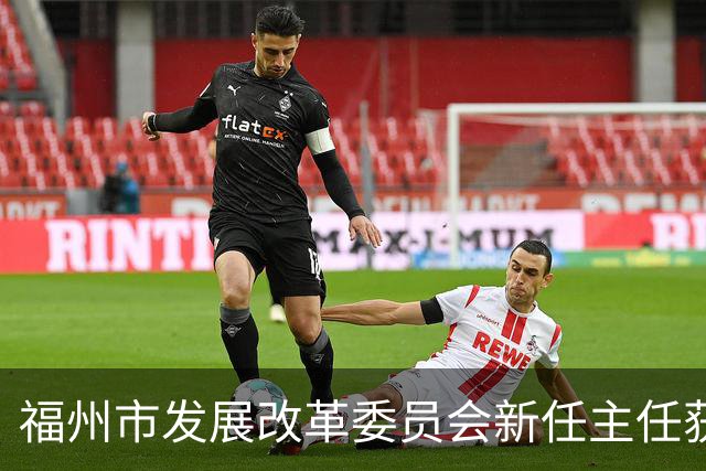 福州市发展改革委员会新任主任获任命